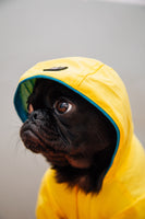 Little Raincoat